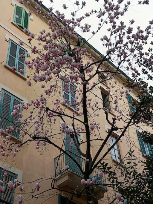 Da Rosa E Pier - Charming Central Apartment Milaan Buitenkant foto